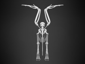 griffin skeleton 3D Model