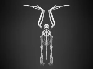 griffin skeleton 3D Model