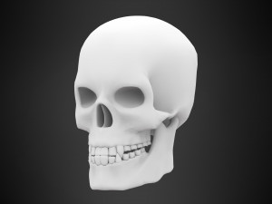 human skull Modelo 3D