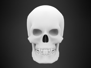 human skull Modelo 3D