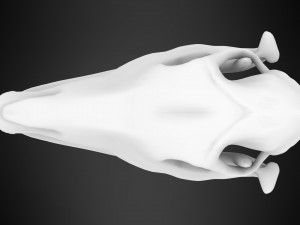 horse skull Modèle 3D