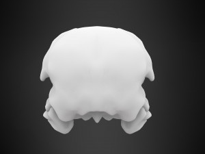 eagle skulls 3D Model