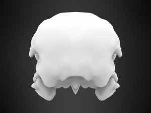 eagle skulls 3D Model