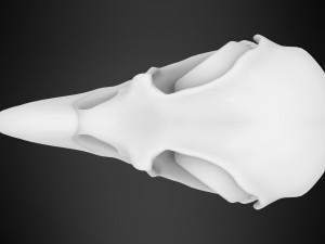 eagle skulls 3D Model