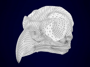 eagle skulls 3D Model