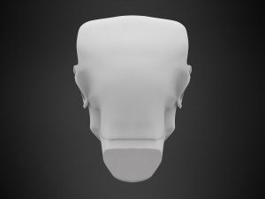 male head 3D Model