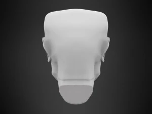 male head 3D Model