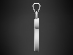 nautilus pompilius font s pendant 3D Model