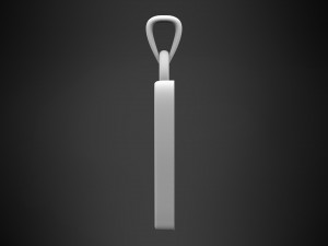 nautilus pompilius font v pendant Modello 3D