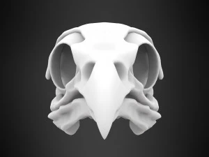 hippogriff skull 3D Model