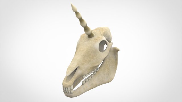 unicorn skull 3D मॉडल .c4d .max .obj .3ds .fbx .stl .blend 