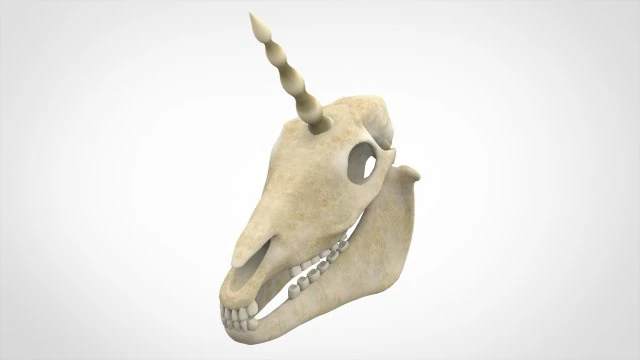 unicorn skull 3D Model .c4d .max .obj .3ds .fbx .stl .blend 