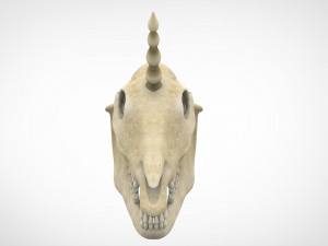unicorn skull 3D मॉडल