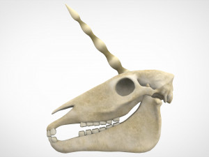 unicorn skull 3D मॉडल