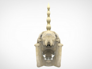 unicorn skull 3D मॉडल