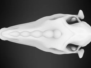 unicorn skull 3D Model
