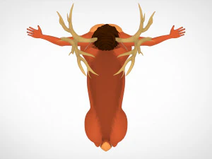 cervitaur 3D Model