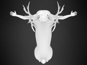 cervitaur 3D-Modell