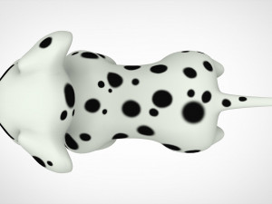 dalmatian puppy 3D Model
