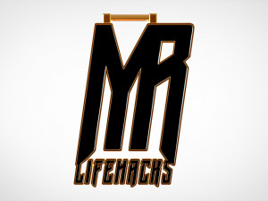mr lifehacks pendant Model 3D