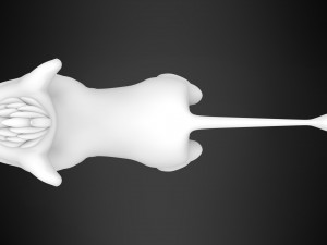 kovu cub 3D Model