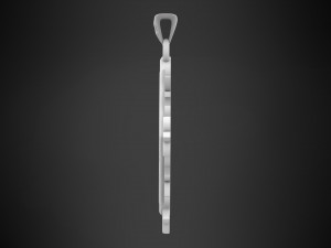 Alatus Nemeseos Pendant Model 3D