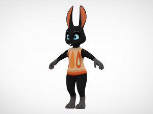 Rabbit Cole 3D Model