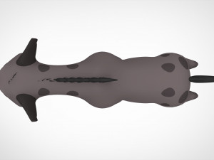 Ed Modelo 3D