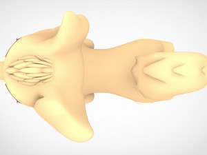 Angel Modello 3D