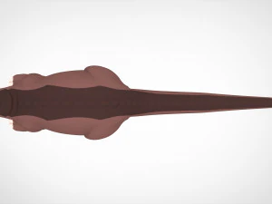 ब्रॉन 3D मॉडल