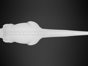 Bron 3D-Modell