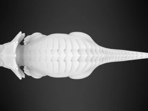 Daddy Topps 3D Model