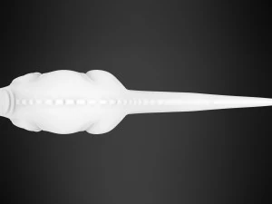 Grandma Longneck 3D Model