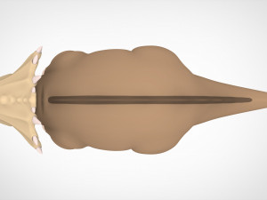 Mr Thicknose 3D Model