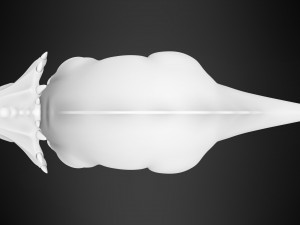 Mr Thicknose 3D Model