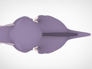 Chomper Modelo 3D