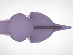 Chomper 3D Model