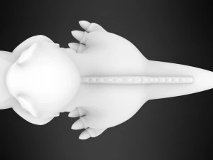 Sharptooth Cub 3D Model