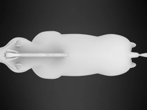 Thurston 3D Model