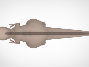 Red Claw 3D मॉडल