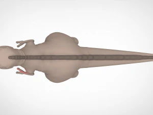 Red Claw 3D Model