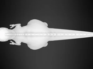 Red Claw 3D Model