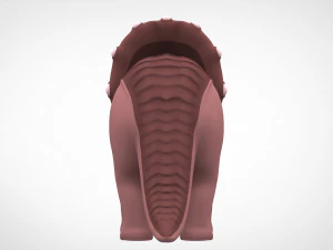 Tria 3D Model