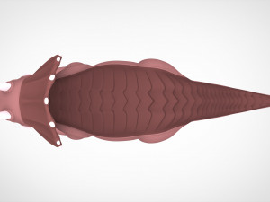 Tria 3D 모델