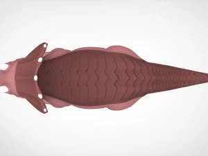 Tria 3D Model