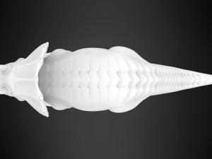 Tria 3D 모델