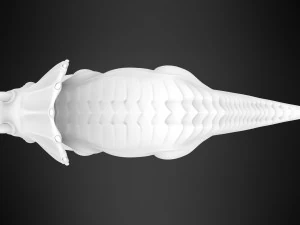 Tria 3D Model