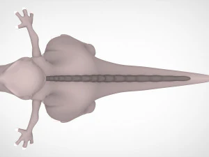 heyecan verici 3D Model