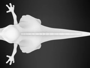 heyecan verici 3D Model