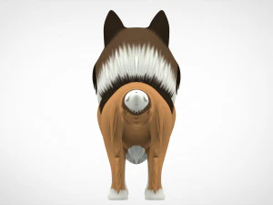 ラフ・コリー 3Dモデル